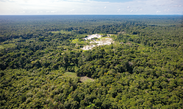 Fotografia aérea de uma floresta com vegetação densa, com muitas árvores próximas umas das outras. E no centro há uma área descampada.