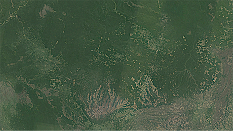 Fotografia aérea e de satélite de uma ampla área verde de vegetação e no entorno áreas mais claras sem vegetação.