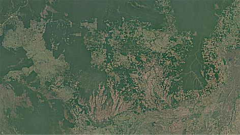 Fotografia aérea e de satélite de áreas verdes de vegetação e extensas áreas mais claras sem vegetação.