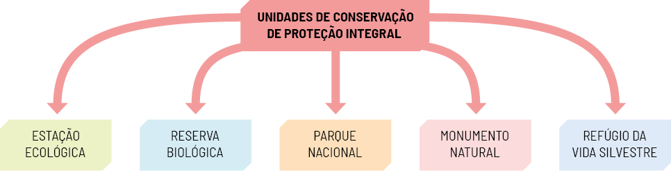 Esquema de setas na vertical. Inicia em Unidades de conservação de proteção integral e dela partem 5 setas para baixo, com as informações: estação ecológica, reserva biológica, parque nacional, monumento natural, refúgio da vida silvestre.