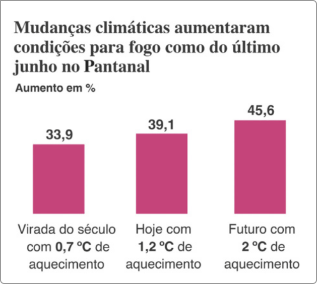 Gráfico de barras 'Mudanças climáticas aumentaram condições para fogo como do último junho no Pantanal'. Aumento em porcentagem. Os dados são: 33,9: Virada do século com 0,7 grau Celsius de aquecimento; 39,1: Hoje com 1,2 grau Celsius de aquecimento; 45,6: Futuro com 2 graus Celsius aquecimento.