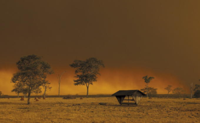 Foto de uma paisagem rural atingida por incêndio florestal, com árvores espalhadas por um campo seco e amarelado e uma estrutura de abrigo de madeira no centro da imagem. Ao fundo, uma espessa fumaça alaranjada cobre todo o horizonte, criando uma atmosfera densa e escura, com o céu completamente tomado pela fuligem do fogo.