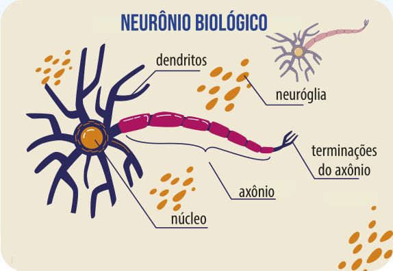 Ilustração representando um neurônio biológico, com destaque para seus componentes identificados por textos e setas: 'núcleo', 'dendritos', 'axônio' e 'terminações do axônio'. À direita, há um pequeno desenho com a legenda 'neuróglia'. O neurônio é representado com corpo celular em preto e laranja, axônio em roxo e terminações em lilás, cercado por estruturas ovais alaranjadas. Acima da imagem central, está o título 'NEURÔNIO BIOLÓGICO'.