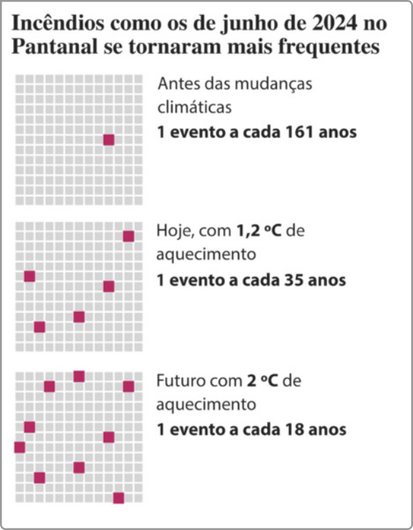 Gráfico com três quadros formados por uma malha de quadrados cinza e alguns quadrados rosa destacados, representando a frequência de incêndios como os de junho de 2024 no Pantanal. No primeiro quadro, com a legenda 'Antes das mudanças climáticas', aparece a indicação '1 evento a cada 161 anos'. No segundo quadro, com a legenda 'Hoje, com 1,2 °C de aquecimento', aparece a indicação '1 evento a cada 35 anos'. No terceiro quadro, com a legenda 'Futuro com 2 °C de aquecimento', aparece a indicação '1 evento a cada 18 anos'. Acima dos quadros está o título: 'Incêndios como os de junho de 2024 no Pantanal se tornaram mais frequentes'.