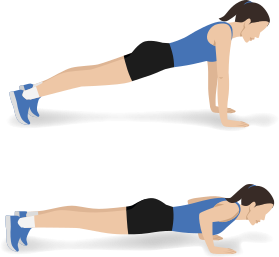 Ilustração de uma mulher executando uma flexão de braço, em duas etapas.  Na primeira etapa, ela está apoiada nas pontas dos pés e as palmas das mãos paralelas no chão. Ela está com o corpo deitado no ar, com a coluna alinhada, a barriga voltada para o chão, as pernas unidas e estendidas e os braços estendidos na vertical, alinhando os ombros com as palmas das mãos. Na segunda etapa, ela está com os cotovelos flexionados em um ângulo reto, com o corpo deitado no ar na horizontal, muito próximo ao chão. Ela se mantém apoiada nas palmas das mãos e nas pontas dos pés, com as pernas estendidas.