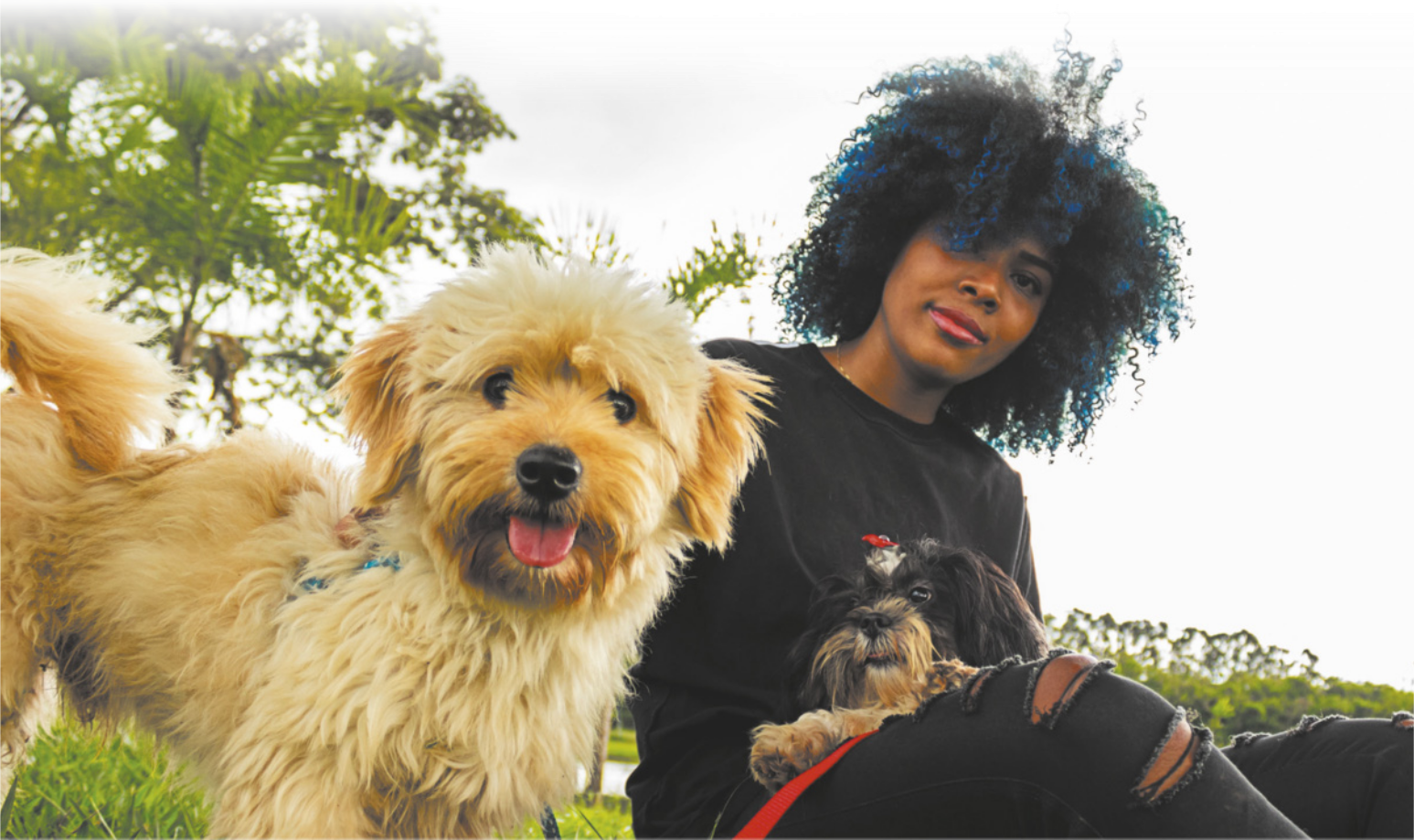Imagem de mulher jovem com dois cachorros. Ela está sentada na grama e um dos cachorros está deitado no colo dela.