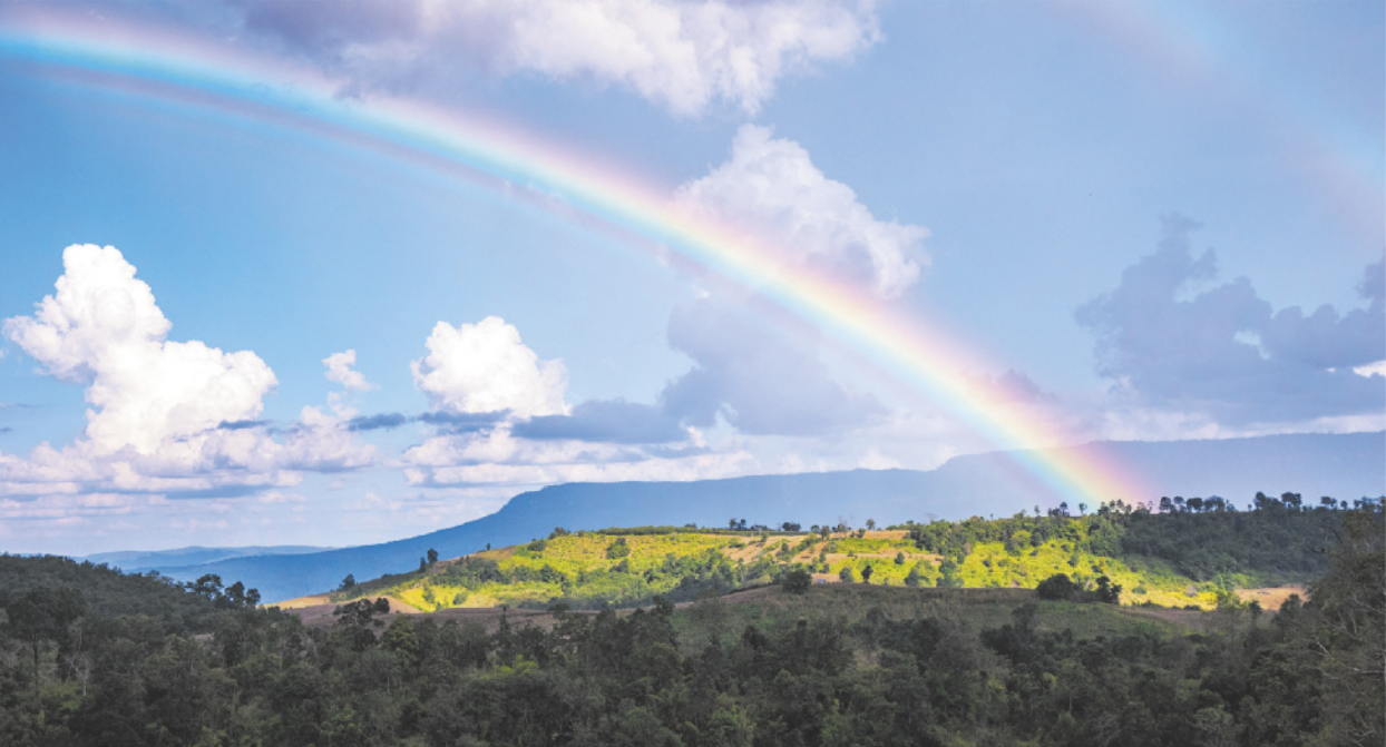 Imagem de arco-íris em uma paisagem rural, com vegetação abundante.