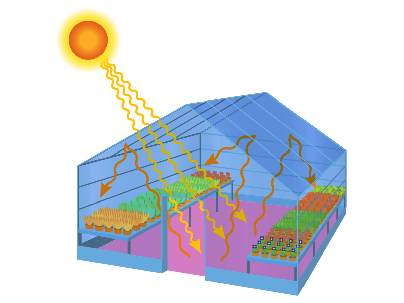 Ilustração de uma estufa de vidro com formato de uma casa. Dentro dela, há plantas nas duas laterais. Fora dela, à esquerda, na parte superior, está o Sol. Dele partem setas em direção ao interior da estufa. Outras setas parte do chão da estufa em direção ao teto dela e são refletidas em direção às plantas.