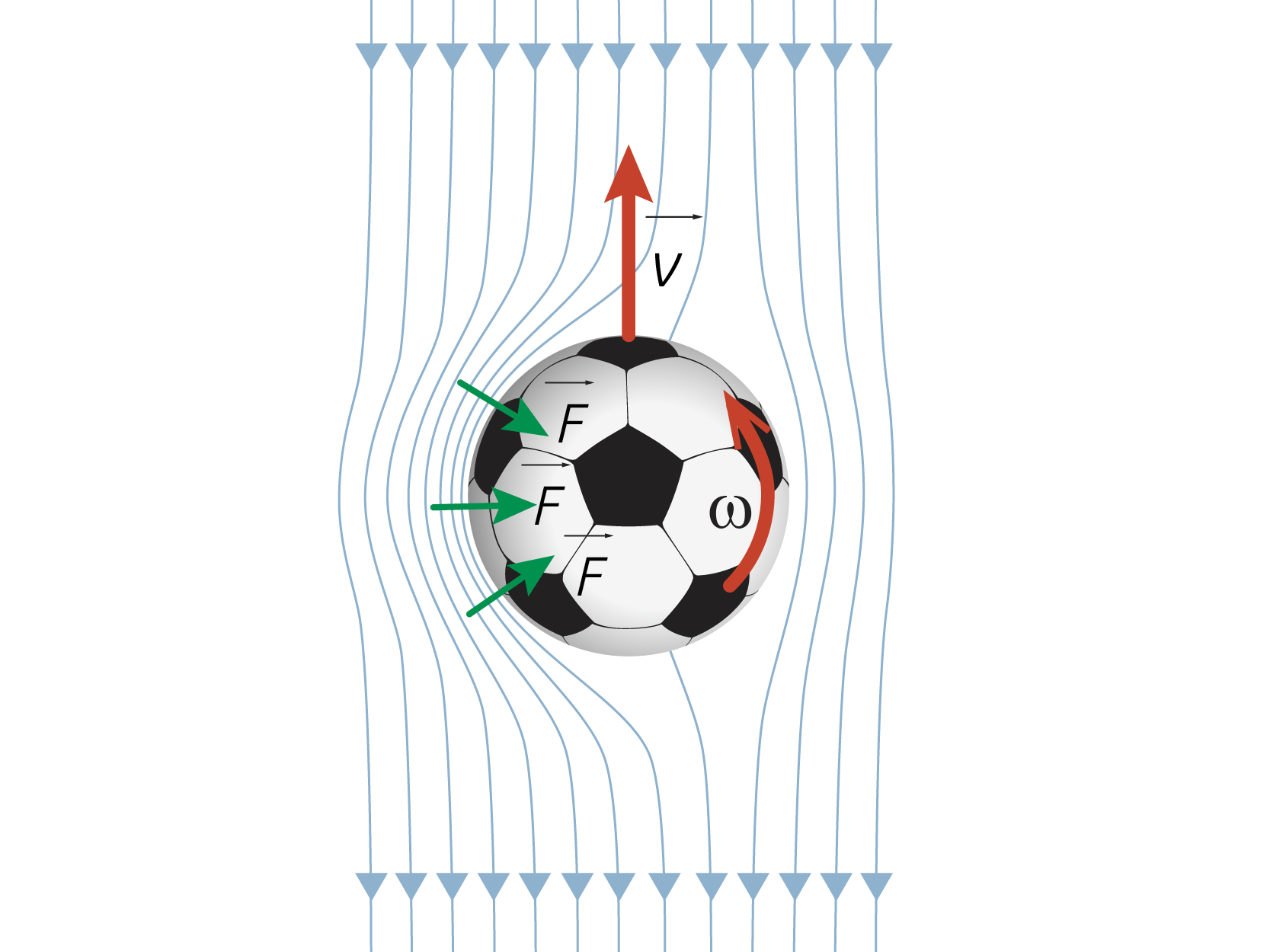 Ilustração de uma bola de futebol com as representações do movimento do ar ao redor dela, contornando-a. Há uma seta curva indicando o sentido de giro da bola acompanhada da letra ômega. Também há uma seta vertical para cima, a qual representa a velocidade da bola em relação ao ar. Ao lado dessa seta, está a letra v. Há outras três setas acompanhadas da letra F, que indicam as forças que atuam sobre as moléculas de ar que estão se movimentando no mesmo sentido do giro da bola.