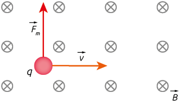 Ilustração de um espaço com vários círculos com um x dentro, organizados em 3 linhas e 4 colunas e com a representação de um vetor B no canto inferior direito. No meio, há um corpo redondo q com dois vetores saindo dele: o vetor v horizontalmente para a direita e o vetor F m, verticalmente para cima.