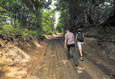 Fotografia de duas pessoas vistas de costas caminhando em uma estrada de terra cercada por vegetação.