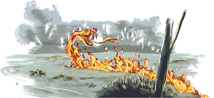 Ilustração de um rastro de fogo em uma floresta. O início do rastro de fogo tem formato de uma cabeça de cobra com a boca aberta e a língua para fora.