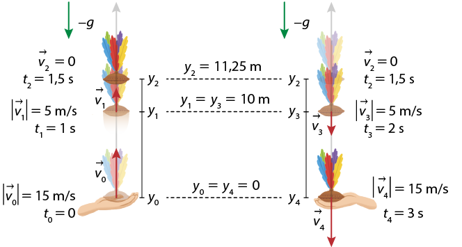 Esquema com ilustrações. Do lado esquerdo há uma mão lançado uma peteca para cima em um movimento vertical. O trajeto da peteca é representado por 3 posições da peteca. Na primeira posição, a peteca está sobre a mão e está indicado: vetor v 0; módulo do vetor v 0 igual a 15 metros por segundo; t 0 igual a 0. Na segunda posição a peteca está no ar, com as indicações: vetor v 1; módulo do vetor v 1 igual a 5 metros por segundo; t 1 igual a 1 segundo. Na terceira posição a peteca está no ar com as indicações: vetor v 2 igual 0; t 2 igual a 1,5 segundo. Na parte superior há uma seta vertical apontada para baixo, indicada por menos g. Também está indicado y 0 para primeira posição, y 1 para segunda e y 2 para terceira posição da peteca. Do lado esquerdo há uma representação do trajeto da peteca que desce em um movimento vertical, até chegar sobre uma mão. O trajeto é representado por 3 posições da peteca. Na primeira posição, a peteca está no ar com as indicações: vetor v 2 igual a 0; t 2 igual a 1,5 segundo. Na segunda posição a peteca está no ar, com as indicações: vetor v 3; módulo do vetor v 3 igual a 5 metros por segundo; t 3 igual a 2 segundos. Na terceira posição a peteca está sobre a mão, com as indicações: vetor v 4; módulo do vetor v 4 igual a 15 metros por segundo; t 4 igual a 3 segundos. Na parte superior há uma seta vertical apontada para baixo, indicada por menos g. Também está indicado y 2 para primeira posição, y 3 para segunda e y 4 para terceira posição da peteca. No meio das duas representações dos trajetos há um segmento horizontal pontilhado ligando y 0 a y 4, indicado por: y 0 igual y 4 igual 0; há um segmento horizontal pontilhado ligando y 1 e y 3, indicado por: y 1 igual y 3 igual 10 metros; há um segmento horizontal pontilhado ligando y 2 e y 2, indicado por y 2 igual 11,25 metros.