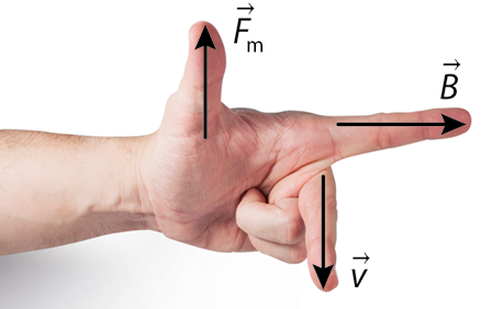 Ilustração de uma mão com os dedos anelar e mínimo fechados, enquanto o polegar aponta para cima, o indicador para frente e o médio para o lado. No polegar há o vetor F m, no indicador há um vetor B e no dedo médio há um vetor V. Cada vetor aponta para o mesmo lado que o respectivo dedo.