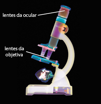 Fotografia da radiografia de um microscópio óptico, com o cilindro superior nomeado como lentes da ocular e os cilindros perto da superfície de análise nomeados de lentes da objetiva. Tanto as lentes quanto a superfície são vistas coloridas e a base do microscópio em branco.