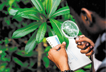 Fotografia de um rapaz segurando uma lupa próximo ao rosto e na direção de uma folha verde, a qual ele está segurando com a outra mão junto com um caderno.