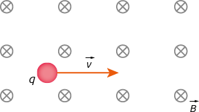 Ilustração com 12 símbolos iguais organizados em três linhas e quatro colunas. Cada símbolo é composto por uma circunferência com um X dentro. Entre a segunda e terceira linha há uma esfera indicada por q, com uma seta ao lado apontando para direita, indicada por vetor v. Ao final, no lado do último símbolo também há um vetor B.