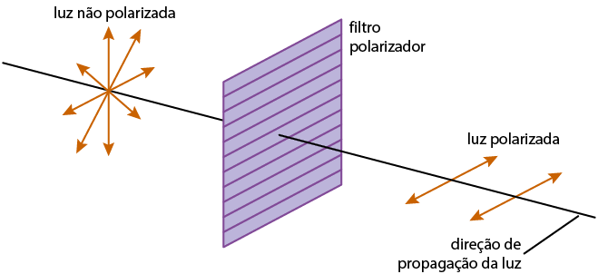 Ilustração de uma superfície retangular com diversas linhas na horizontal, nomeada como filtro polarizador, e um segmento de reta passando por ela, nomeado como direção de propagação da luz. Antes da superfície há um ponto no segmento de onde saem várias setas em diferentes direções e sentido, nomeadas como luz não polarizada e após a superfície há dois pontos no segmento de onde saem setas horizontais para a direita e esquerda, nomeadas como luz polarizada.