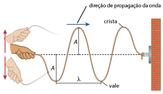 Ilustração de uma mão segurando a extremidade de uma corda, com a outra extremidade presa na parede. Há um eixo horizontal indo da mão com a corda até a parede. Também há desenhos mais claros da mesma mão segurando a corda, com setas indicando que ela está movimentando para cima e para baixo. A corda forma uma onda, na qual o ponto mais alto está indicado como crista e o ponto mais baixo está indicado como vale. A distância entre o ponto mais alto e o eixo, e a distância entre o ponto mais baixo e o eixo é indicada por A. E a distância entre a duas cristas é lambda e a distância entre dois vales é lambada.