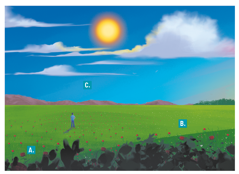 Ilustração de um homem em meio a um grande gramado, com o céu ensolarado acima. O gramado é verde e está indicado pela letra B. Nele há várias flores com pétalas vermelhas e indicadas pela letra A. E no céu azul, indicado pela letra C há nuvens brancas e um sol forte.