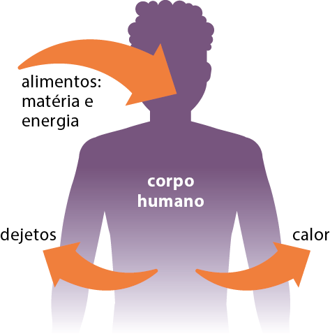 Ilustração com a silhueta de uma pessoa, indicada por: corpo humano. Há uma seta apontada para a boca, indicada por: Alimentos: matéria e energia. Há uma seta do meio da silhueta da pessoa, apontada para a esquerda, indicada por: dejetos, e uma seta do meio da silhueta da pessoa, apontada para a direita, indicada por: calor.