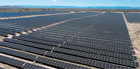 Fotografia de um local repleto de placas de captação de energia solar acima do solo. As placas estão enfileiradas e ao fundo há vegetação.