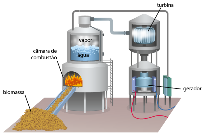 Ilustração de um acúmulo de biomassa sendo levado por uma esteira até uma câmara de combustão com fogo. Acima da câmara há um recipiente de formato cilíndrico com água e vapor. No topo há um cano que vai até uma pequena caixa no chão e outro cano que vai até uma turbina que está ao lado. Abaixo da turbina há um gerador, de onde sai dois fios com energia.