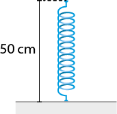 Ilustração de uma mola, com medida de comprimento de 50 centímetros, com a extremidade inferior fixada no chão e a superior vazia.