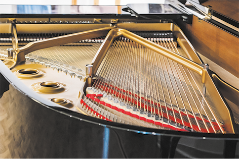 Fotografia de várias cordas alinhadas de um piano de cauda. A estrutura é de madeira.