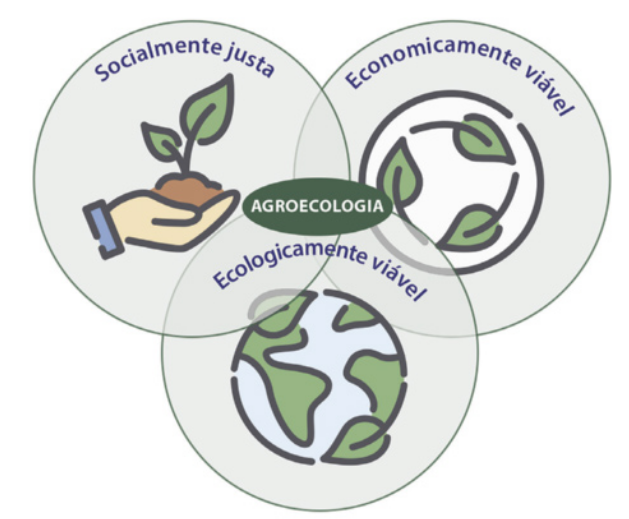 Imagem que apresenta os seguintes princípios: Socialmente justa; Economicamente viável e Ecologicamente viável. A intersecção desses princípios resulta na Agroecologia.
