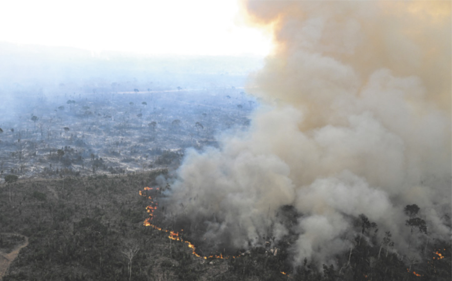 Foto aérea de floresta em chamas.