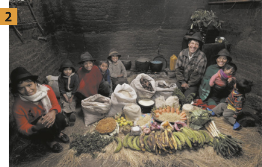 Foto dois, que apresenta um homem, duas mulheres e seis crianças. Eles estão sentados ao redor dos alimentos, organizados sobre palha. Dentre esses alimentos, destaca-se: bananas, cenouras, batatas, frutas e diversos vegetais.