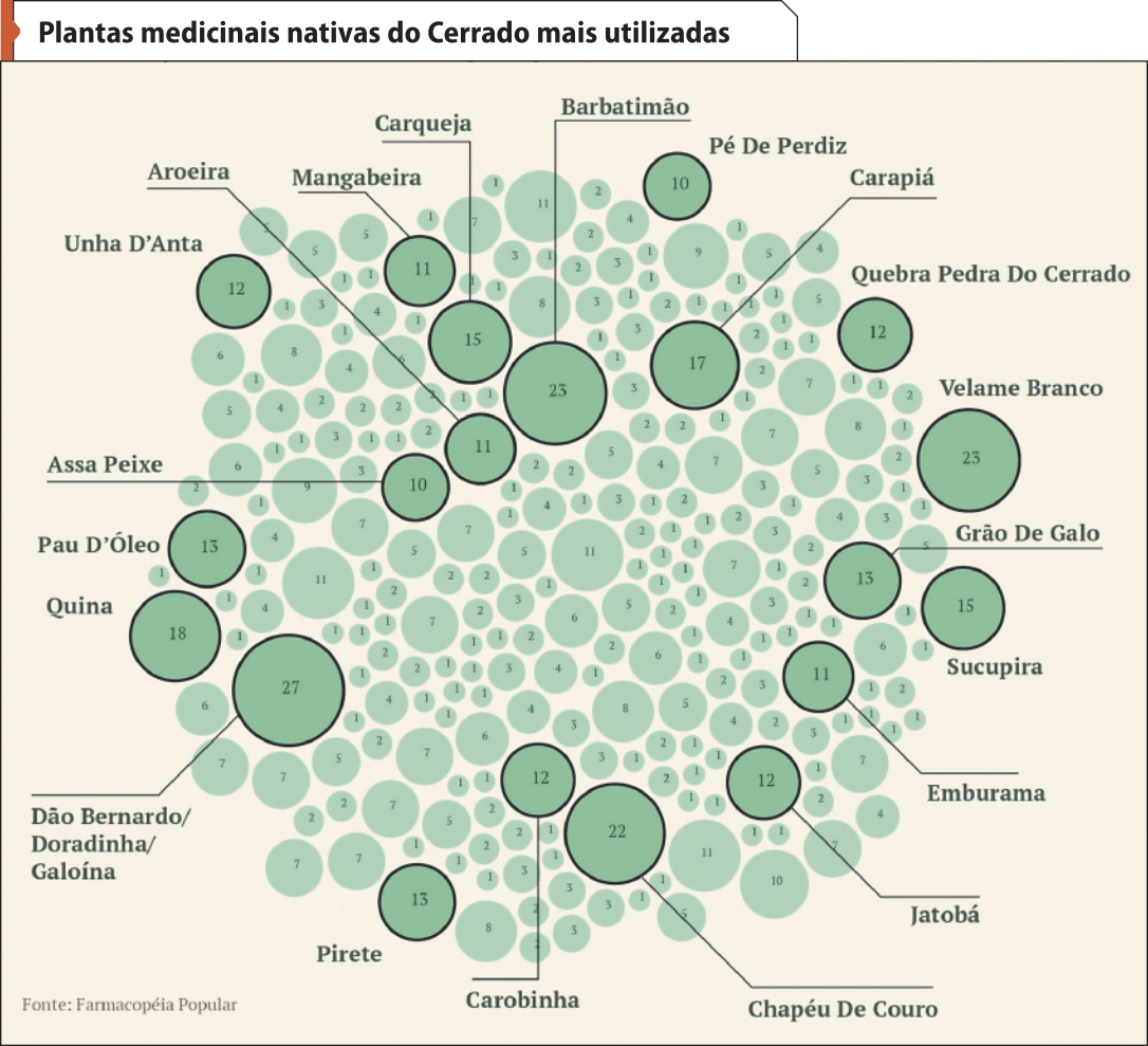 Esquema 'Plantas medicinais nativas do Cerrado mais utilizadas', destacam-se as seguintes: Barbatimão. Pé de perdiz. Carapiá. Quebra Pedra do Cerrado. Velame Branco. Grão de Galo. Sucupira. Emburama. Jatobá. Chapéu de Couro. Carobinha. Pirete. Dão Bernardino ou Doradinha ou Galoína. Quina. Pau D'Óleo. Assa de Peixe. Unha D'Anta. Aroeira. Mangabeira. Carqueja.