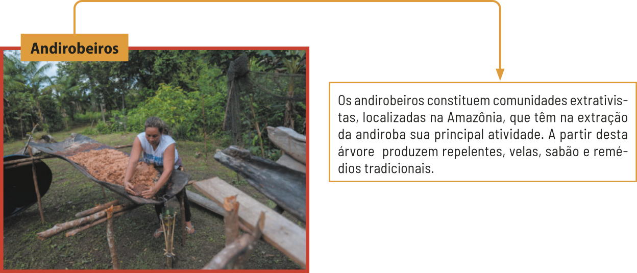 Imagem 'Andirobeiros', apresentando uma mulher recolhendo andirobas sobre um lona, posicionada na horizontal. Também se destaca o texto: 'Os andirobeiros constituem comunidades extrativistas, localizadas na Amazônia, que têm na extração da andiroba sua principal atividade. A partir desta árvore produzem repelentes, velas, sabão e remédios tradicionais'.