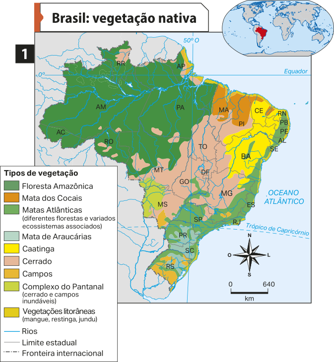 Mapa um 'Brasil: vegetação nativa'. Conforme a legenda, os dados são os seguintes: Tipos de vegetação. Floresta Amazônica: extensas áreas nos estados do Acre, Amazonas, Rondônia, sul de Roraima, Pará, Amapá e norte do Mato Grosso. Mata dos Cocais: localidade no centro e norte do Maranhão e do Piauí. Matas Atlânticas (diferentes florestas e variados ecossistemas associados): localidades no Rio Grande do Norte, Paraíba, Pernambuco, Alagoas, Sergipe, Bahia, Espírito Santo, Rio de Janeiro, São Paulo, Paraná. E, também, no leste de Minas Gerais, leste de Santa Catarina e do Rio Grande do Sul.  Mata de Araucárias: áreas no interior do Paraná, Santa Catarina e Rio Grande do Sul. Caatinga: áreas no interior do Ceará, Bahia, Rio Grande do Norte, Paraíba, Pernambuco e Alagoas. Cerrado: áreas no norte de Roraima, sul do Amapá e, também, no Mato Grosso, Goiás, Distrito Federal, Tocantins, Piauí, Minas Gerais, Mato Grosso do Sul e norte de São Paulo. Campos: áreas no sul do Rio Grande do Sul. Complexo do Pantanal (cerrado e campos inundáveis): localidade no oeste do Mato Grosso do Sul e sudoeste do Mato Grosso.  Vegetações litorâneas (mangue, restinga, jundu): áreas no litoral sul, nordeste e sudeste.
