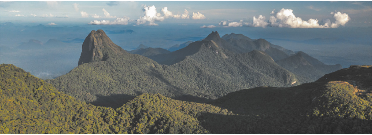 Foto de uma grande cadeia de montanhas, com muitas árvores nas encostas.