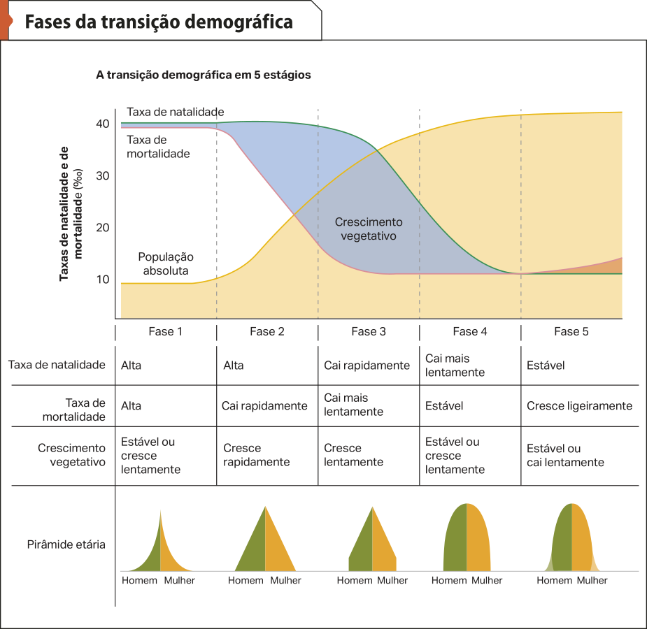 Gráfico 'Fases da transição demográfica'. Destaca-se a transição demográfica em 5 estágios: Fase um, com taxa de natalidade alta; taxa de mortalidade alta; crescimento vegetativo estável ou cresce lentamente. A pirâmide etária expõe esses dados com uma base larga, corpo mais fino e topo estreito. Fase um, com taxa de natalidade alta; taxa de mortalidade que cai rapidamente; crescimento vegetativo cresce lentamente. A pirâmide etária expõe esses dados com uma base larga, um corpo mais robusto e topo estreito. Fase três, com taxa de natalidade que cai rapidamente; taxa de mortalidade que cai mais lentamente; crescimento vegetativo que cresce lentamente. A pirâmide etária expõe esses dados com uma base menos mais estreita, corpo mais robusto e topo mais largo. Fase quatro, com taxa de natalidade estável; taxa de mortalidade que cresce ligeiramente; crescimento vegetativo estável ou cai lentamente. A pirâmide etária expõe esses dados com uma base estreita, corpo robusto e topo mais largo.