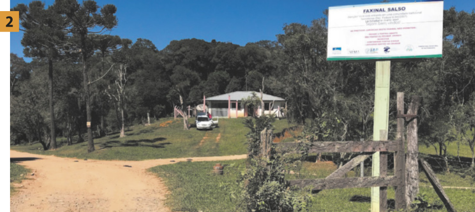 Foto dois, apresentando um portal de entrada, com a placa 'Faxinal Falso'.