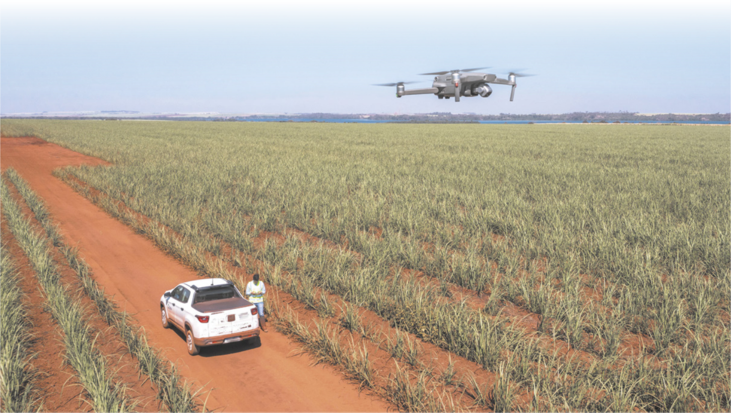 Foto de drone sobrevoando uma plantação.