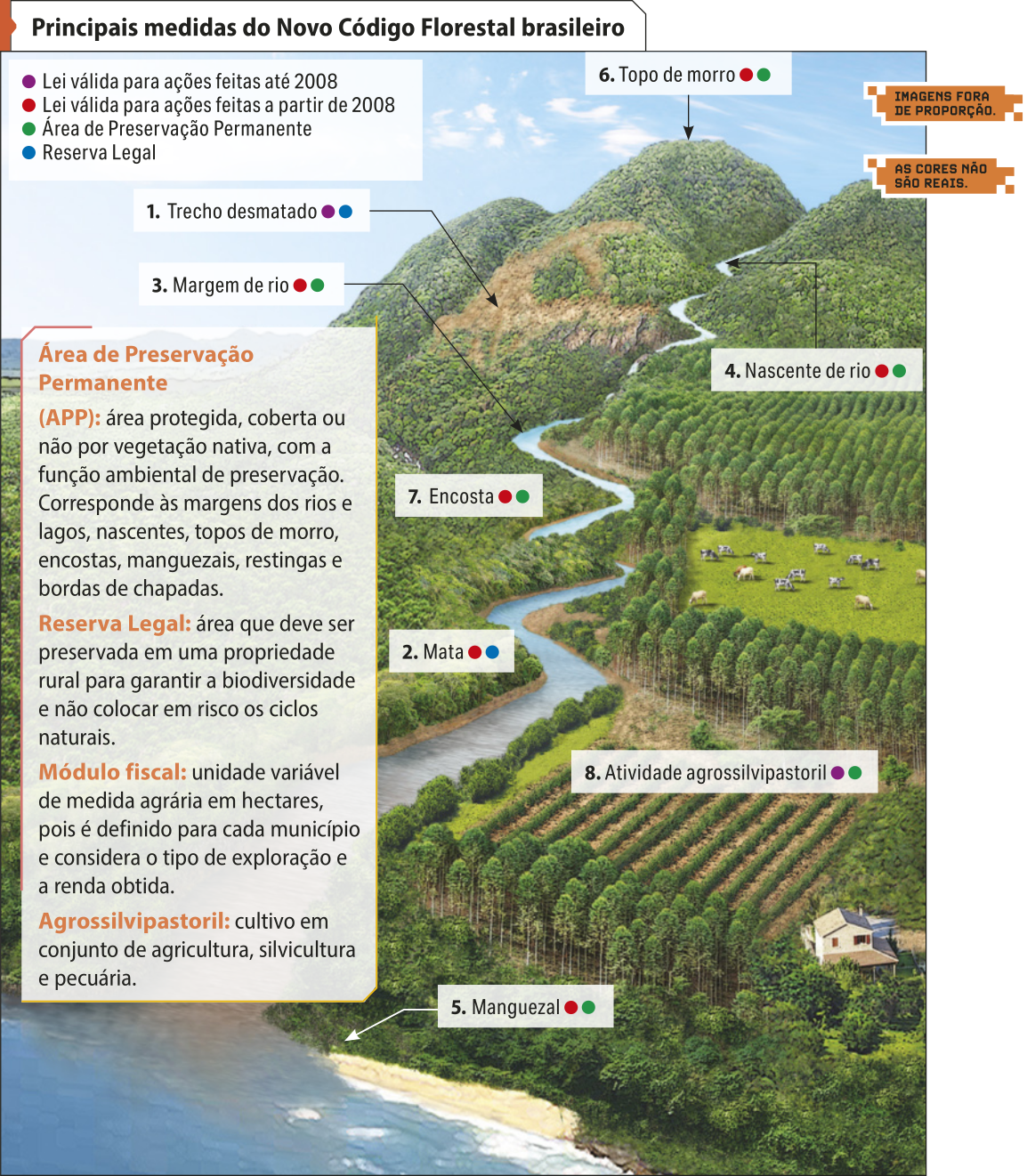 Esquema 'Principais medidas do Novo Código Florestal brasileiro'. Os dados são os seguintes: Área de Preservação Permanente (APP): área protegida, coberta ou não por vegetação nativa, com a função ambiental de preservação. Corresponde às margens dos rios e lagos, nascentes, topos de morro, encostas, manguezais, restingas e bordas de chapadas.  Reserva Legal: área que deve ser preservada em uma propriedade rural para garantir a biodiversidade e não colocar em risco os ciclos naturais.  Módulo fiscal: unidade variável de medida agrária em hectares, pois é definido para cada município e considera o tipo de exploração e a renda obtida. Agrossilvipastoril: cultivo em conjunto de agricultura, silvicultura e pecuária. Também se destacam as seguintes informações: Um. O Trecho desmatado é regulado pela lei válida para ações feitas até 2008 e com a instalação de reserva legal. Dois. A mata é regulada pela lei válida para ações feitas a partir de 2008 e com a instalação de reserva legal. Três. A margem do rio é regulada pela lei válida para ações feitas a partir de 2008 e com área de preservação permanente. Quatro. A nascente do rio é regulada pela lei válida para ações feitas a partir de 2008 e com área de preservação permanente. Cinco. O manguezal é regulado pela lei válida para ações feitas a partir de 2008 e com área de preservação permanente. Seis. O topo do morro é regulado pela lei válida para ações feitas a partir de 2008 e com área de preservação permanente. Sete. A encosta é regulada pela lei válida para ações feitas a partir de 2008 e com área de preservação permanente. Oito. A atividade agropastoril é regulada pela lei válida para ações feitas até 2008 e com área de preservação permanente.