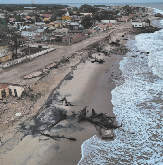 Foto de sedimentos, galhos e folhas espalhados pela areia da praia.