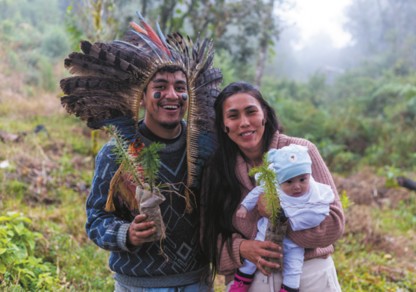 Foto de homem e mulher indígena. Eles estão abraçados e seguram mudas de araucária. A mulher também carrega um bebê.