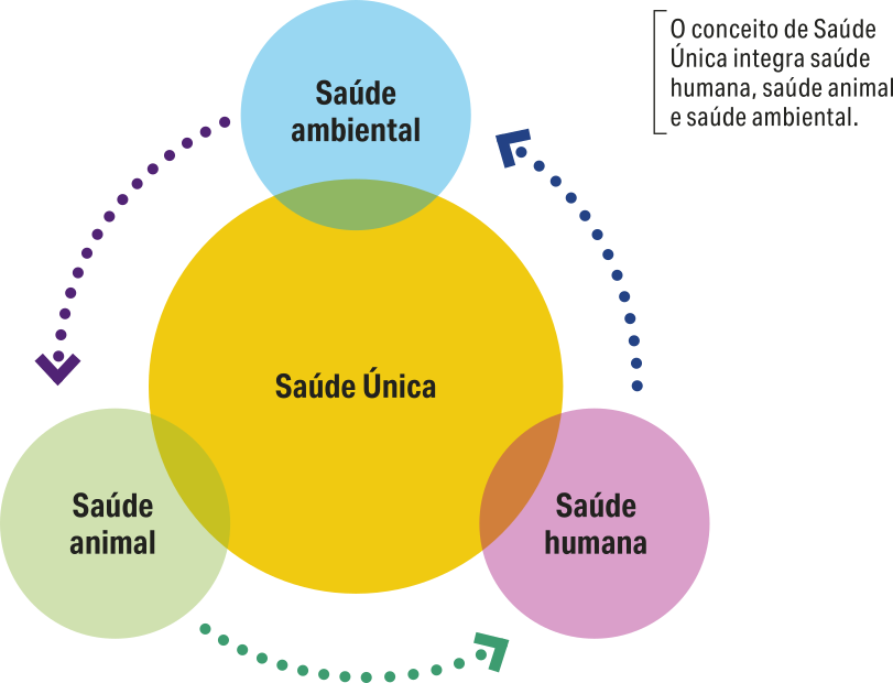Imagem que apresenta o conceito de saúde única, que integra saúde humana, saúde animal e saúde ambiental.