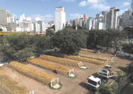 Foto de matéria orgânica reunida e compactada, na forma de grandes retângulos. Essa matéria orgânica está em um local aberto.