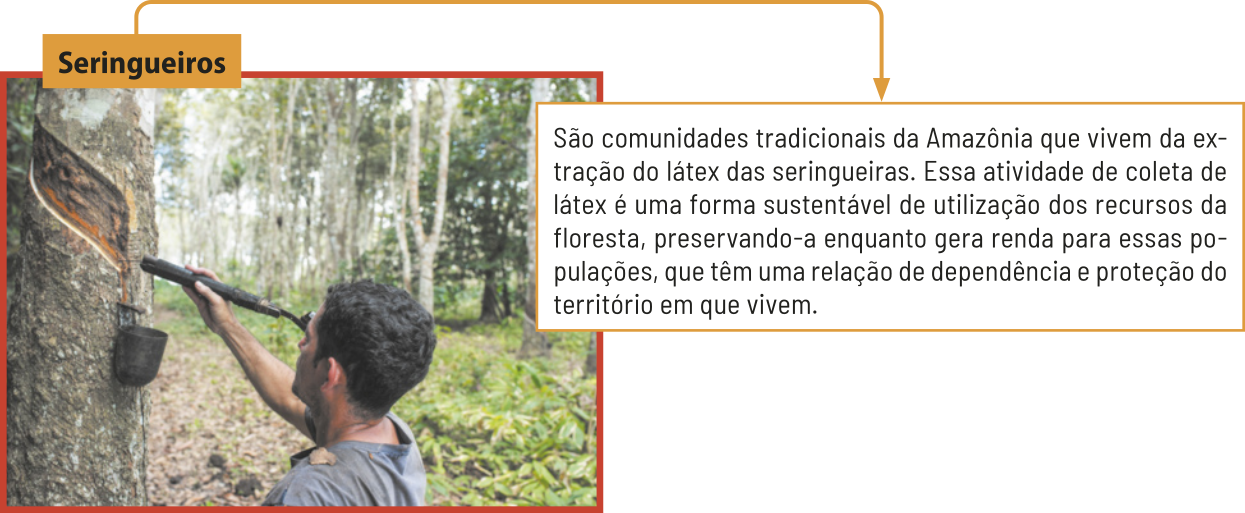 Imagem 'Seringueiros', apresentando um homem fazendo fissuras diagonais no tronco de uma árvore. Também se destaca o texto: 'São comunidades tradicionais da Amazônia que vivem da extração do látex das seringueiras. Essa atividade de coleta de látex é uma forma sustentável de utilização dos recursos da floresta, preservando-a enquanto gera renda para essas populações, que têm uma relação de dependência e proteção do território em que vivem'.