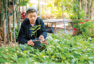 Fotografia de um jovem agachado em meio a uma plantação verdejante. Ele está segurando um vaso pequeno com uma muda de planta. O jovem usa um boné azul virado para trás e um casaco preto. No ambiente ao redor há bambus à esquerda e outras plantas e flores ao fundo.