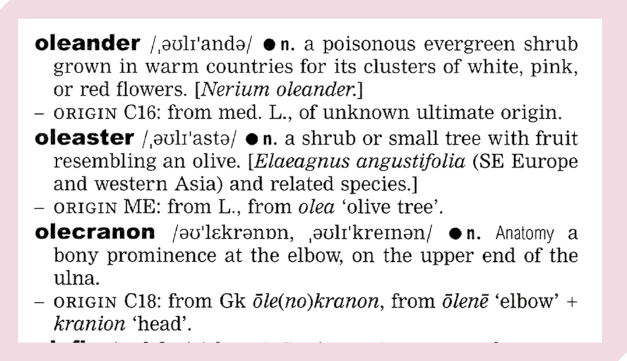 Ilustração de parte de uma página de um dicionário com as palavras oleander, oleaster e olecranon, apresentando suas definições, pronúncias e origens em inglês: Palavra Oleander: n. a poisonous evergreen shrub grown in warm countries for its clusters of white, pink, or red flowers. [Nerium oleander] ORIGIN C 16: from med. L., of unknown ultimate origin. Palavra Oleaster: n. a shrub or small tree with fruit resembling an olive. [Elaeagnus angustifolia (SE Europe and western Asia) and related species.] ORIGIN ME: from L., from olea ‘olive tree’. Palavra Olecranon: n. Anatomy a bony prominence at the elbow, on the upper end of the ulna. ORIGIN C 18: from Gk ōle(no)kranon, from ōlenē ‘elbow’ kranion ‘head’.