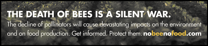 Detalhe de um cartaz com o texto em letras maiúsculas e em inglês: THE DEATH OF BEES IS A SILET WAR. Abaixo em letras menores está escrito: The decline of pollinators will cause devastating impacts environment and on food production. Get informed. Protect Them. E o site: Nobeenofood.com.