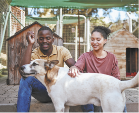 Fotografia de um homem e uma mulher sentados ao ar livre junto a um cachorro. O homem tem cabelos curtos e usa camiseta amarela, enquanto a mulher está com os cabelos presos e usa blusa rosa, e está com a mão sobre o cachorro que está logo a frente deles. Ele tem porte médio, e é branco, com machas marrons. Atrás deles há cercas e casinhas de madeira.