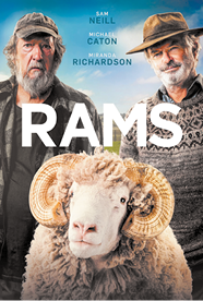 Cartaz do filme intitulado em inglês: Rams. Em destaque, há uma fotografia com um carneiro com chifres grandes e encaracolados no centro, olhando diretamente para a frente. Atrás dele estão dois homens, um deles usa boné, tem barba e bigode grisalhos e está com a boca curvada para baixo. O outro usa chapéu, tem barba e bigode grisalhos e sorri de lábios fechados.